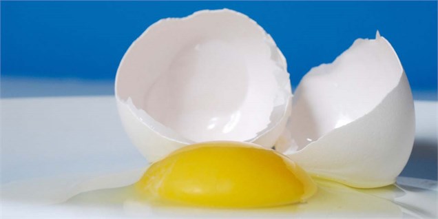 تخم‌مرغ‌ها در انتظار حک شدن قیمت